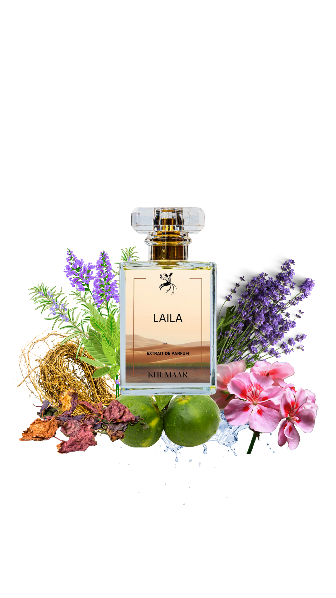 LAILA (DAVIDOFF COOL WATER)